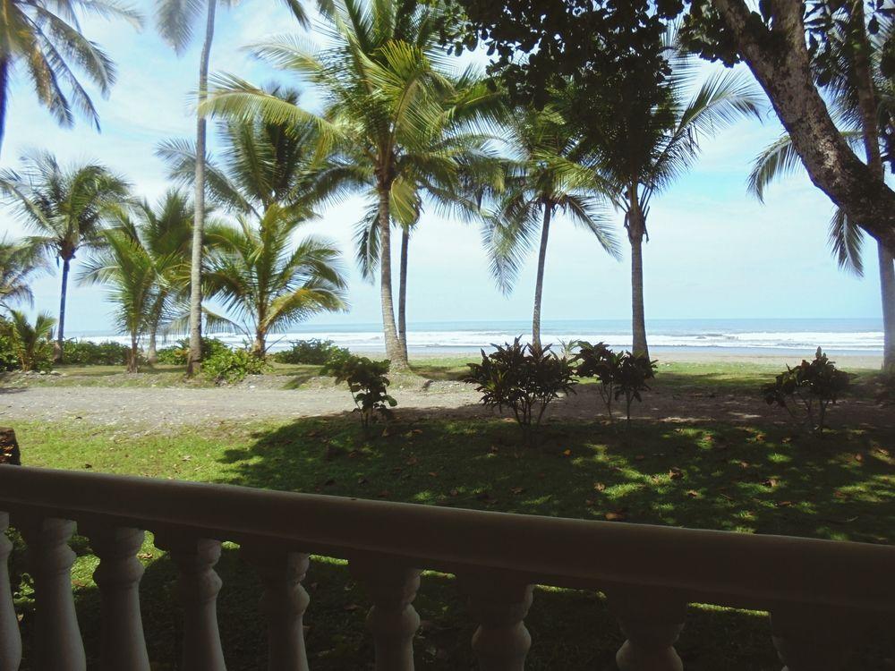Delfin Beach Front Resort Esterillos Kültér fotó